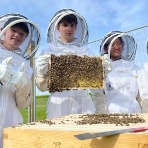 Students beekeeping